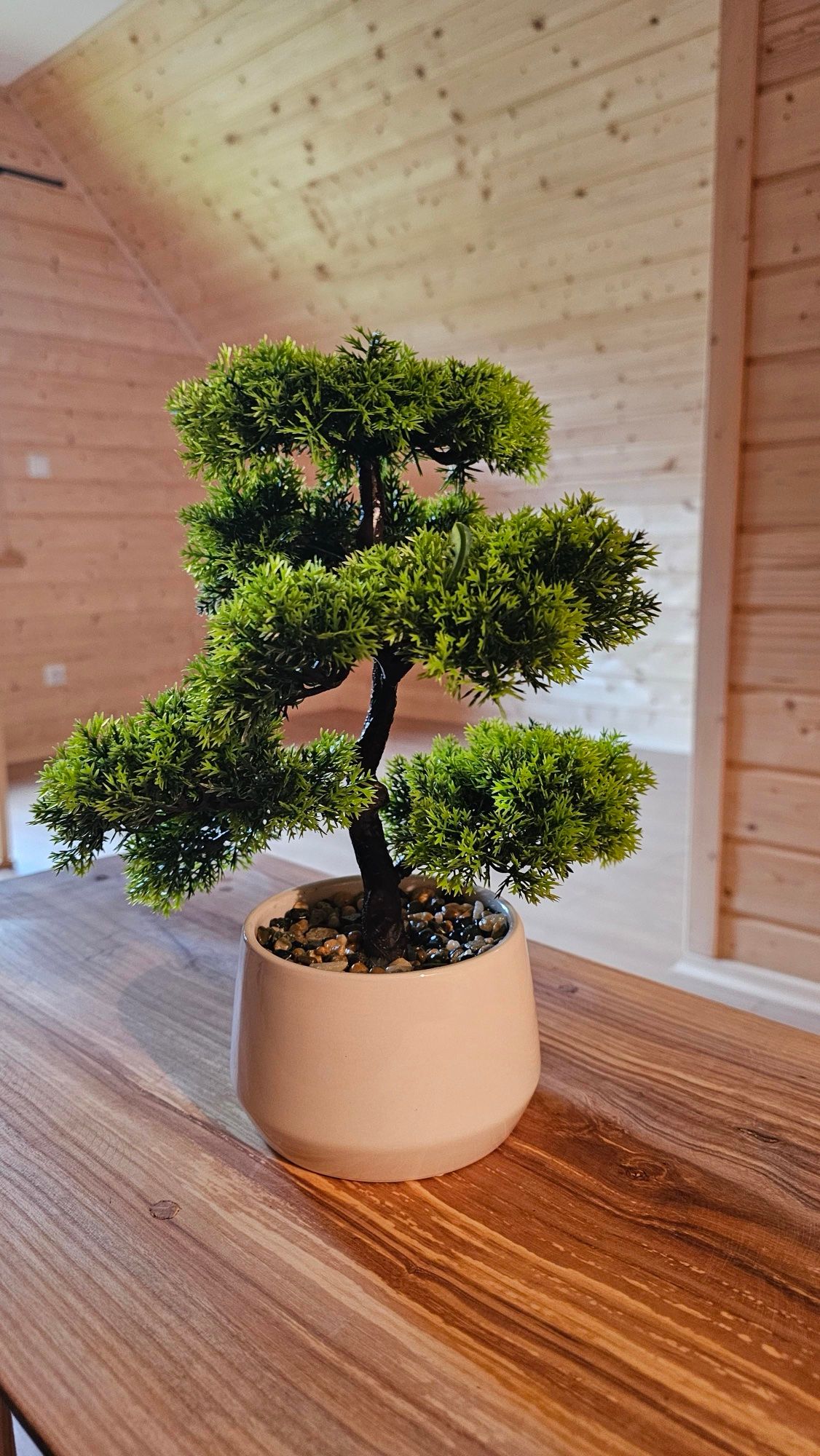 Drzewko bonsai na stoliku z litego drewna