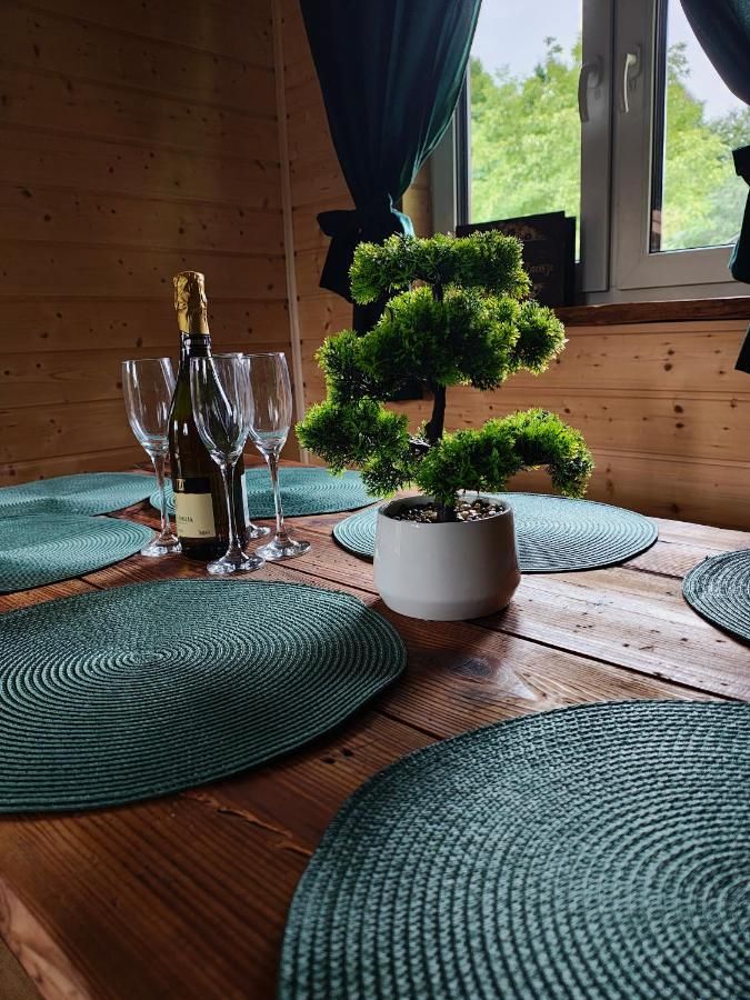 Nakryty stół z zielonymi podkładkami, kieliszkami i drzewkiem bonsai