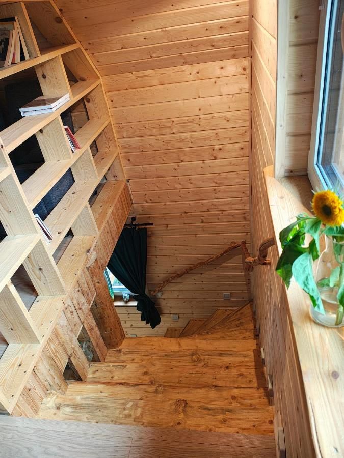 Widok ze szczytu schodów na regał z książkami i słonecznik w wazonie