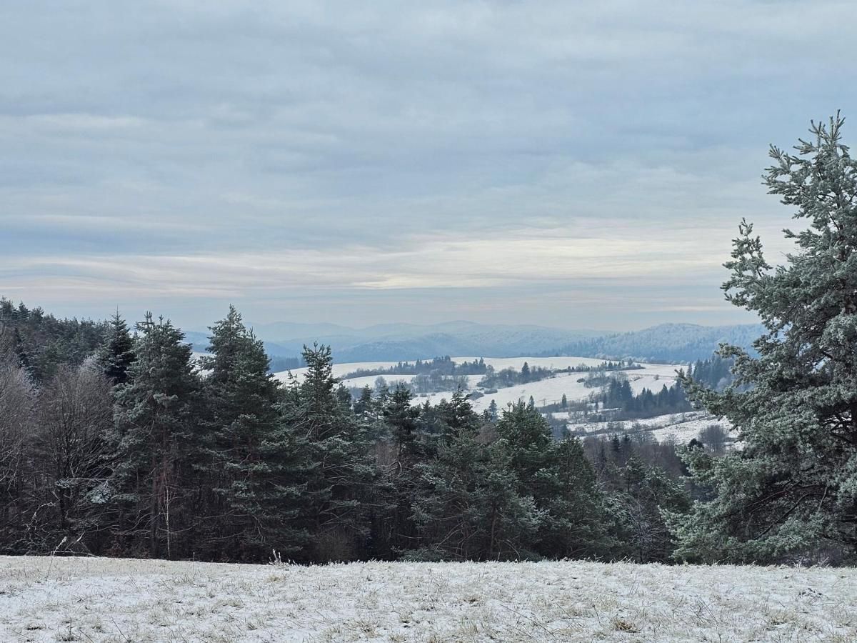 Zimowa panorama zaśnieżonych wzgórz i świerków